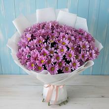 Букет цветов из:  Хризантемы в Нефтекумске