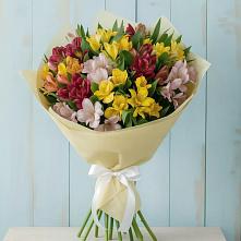 Букет цветов из:  Альстромерии в Нефтекумске